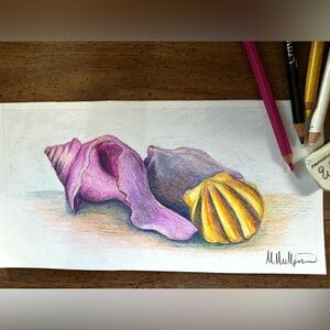 NEW Handmade Hand Crafted Beach Sea Shell Drawing Ocean Object Study Home Art